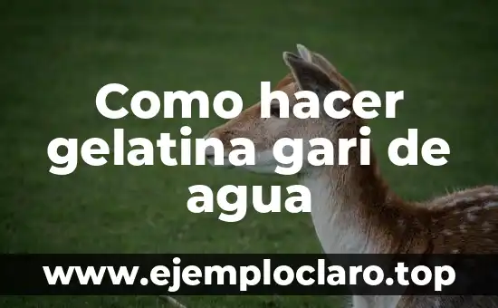 Como hacer gelatina gari de agua