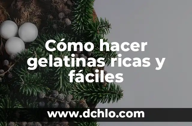 C贸mo hacer gelatinas con transfer 8 C贸mo hacer gelatinas ricas y f谩ciles