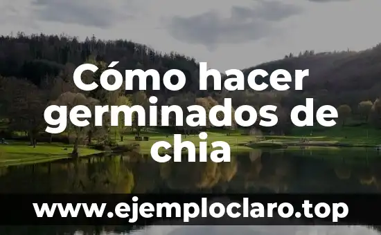 Cómo hacer germinados de chia