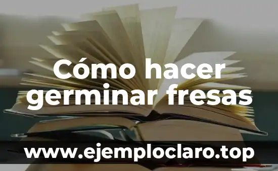 Cómo hacer germinar fresas