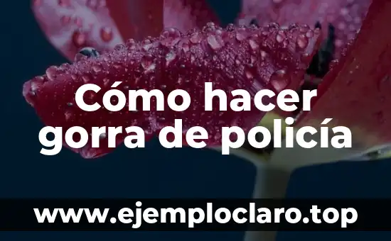 El Significado de Policía Cibernética 6 Cómo hacer gorra de policía