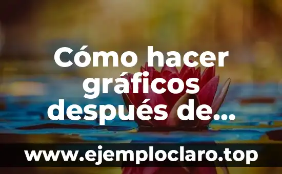 Cómo hacer gráficos después de haber tabulado encuestas