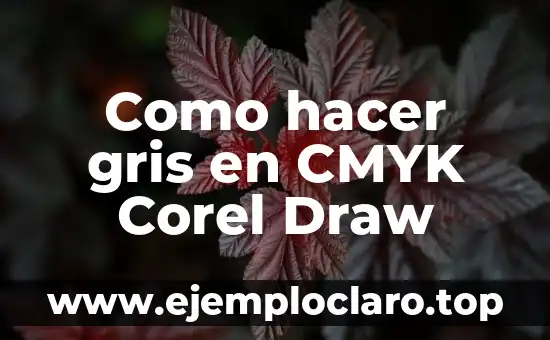 Como hacer la piñata de Batman gris con negro 7 Como hacer gris en CMYK Corel Draw
