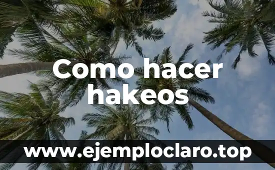 Como hacer hakeos
