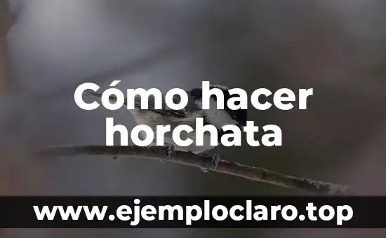 Cómo hacer horchata