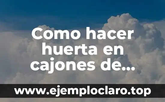 Como Hacer Corte Circular en Madera 7 Como hacer huerta en cajones de madera