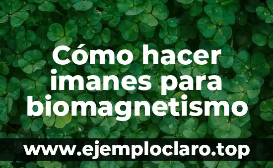 C贸mo hacer burbujas con humo 3 C贸mo hacer imanes para biomagnetismo