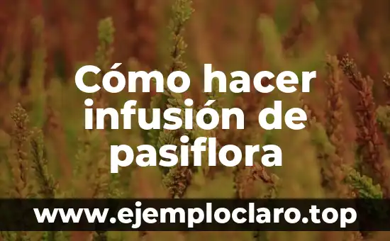 Como Hacer Merengue Fácil para Lemon Pie 6 Cómo hacer infusión de pasiflora