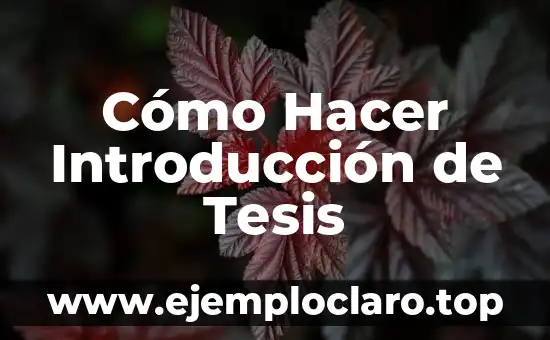 Introducción al significado de un grupo 4 Cómo Hacer Introducción de Tesis