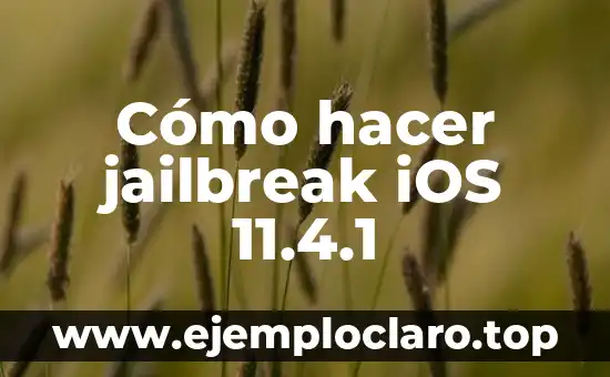 Cómo hacer jailbreak iOS 11.4.1