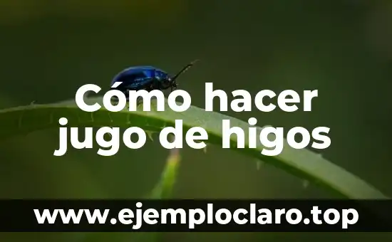 Cómo hacer jugo de borojo afrodisiaco 6 Cómo hacer jugo de higos