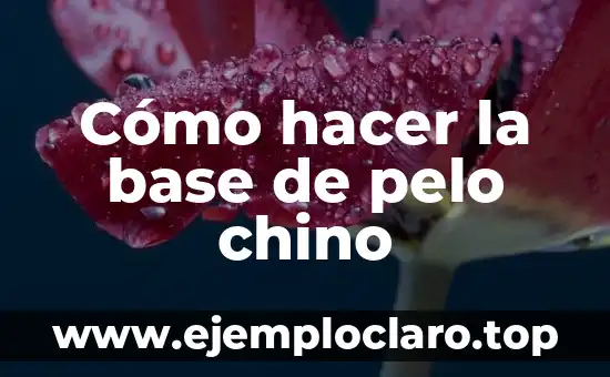 Cómo hacer la base de pelo chino