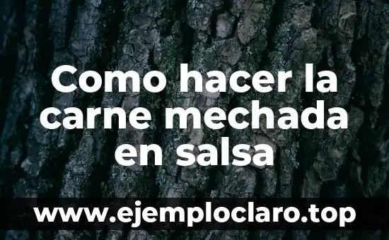 Cómo hacer carne de cerdo en olla de presión 6 Como hacer la carne mechada en salsa