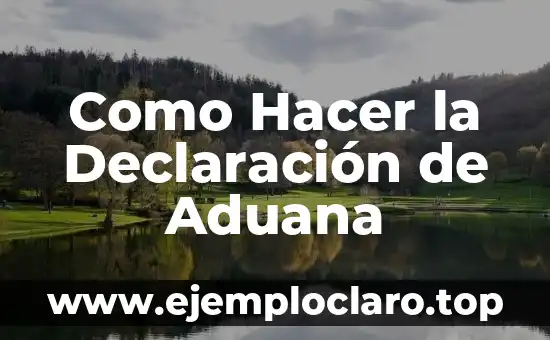 Cómo hacer declaración anual 2018 7 Como Hacer la Declaración de Aduana