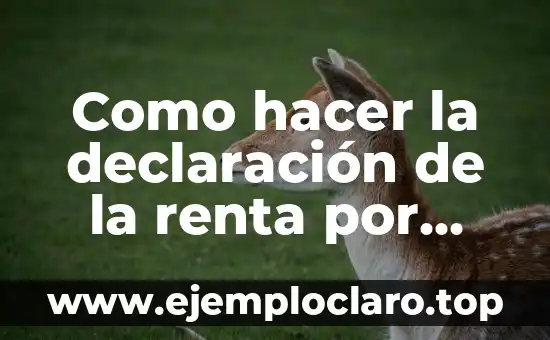 Cuando se llegó a la luna por primera vez: La Historia detrás de la Misión Apolo 11 4 Como hacer la declaración de la renta por primera vez