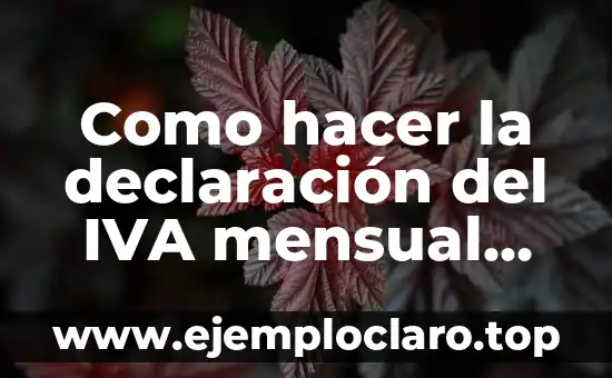 Como hacer cálculo para agregar IVA a un precio 7 Como hacer la declaración del IVA mensual paso a paso