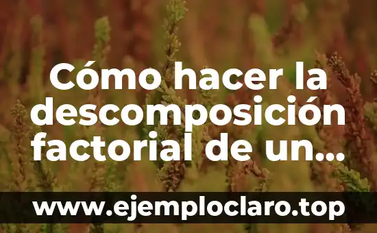 Descomposición de un Material: Un Proceso Natural 3 Cómo hacer la descomposición factorial de un polinomio