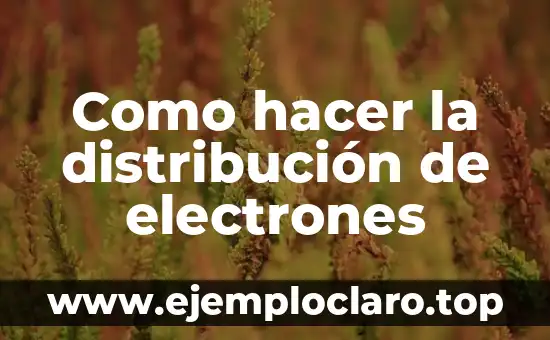 Teoría de la Distribución del Significado 4 Como hacer la distribución de electrones