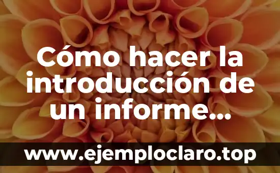 Cómo hacer la introducción de un informe ejemplos