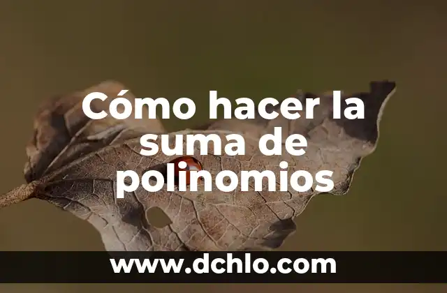 Introducción al Concepto de Polinomios de una Variable 5 Cómo hacer la suma de polinomios