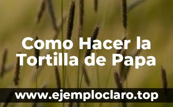 Como Hacer la Tortilla de Papa