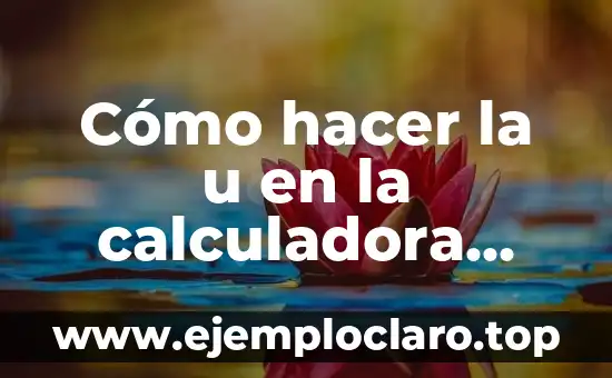 Cómo hacer la u en la calculadora científica