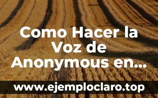 Entonación: El Arte del Ritmo en la Voz 7 Como Hacer la Voz de Anonymous en iPhone