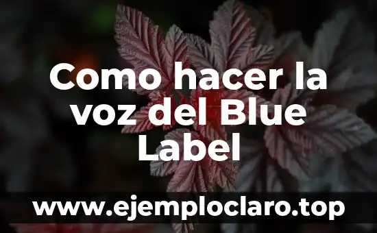 Como hacer la voz del Blue Label