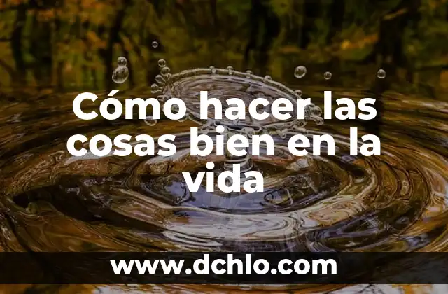 Como hacer pepita 7 Cómo hacer las cosas bien en la vida