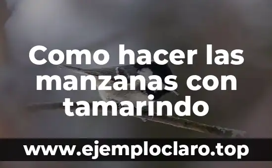 Como hacer las manzanas con tamarindo