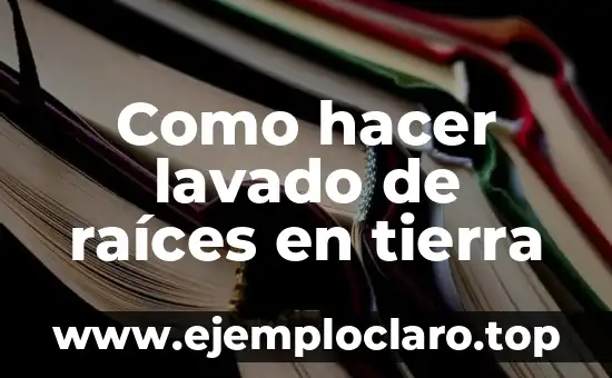 Instrucciones de Lavado y Significado 7 Como hacer lavado de raíces en tierra