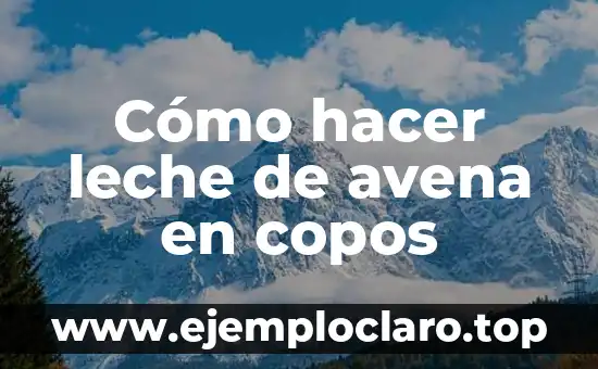 Cómo hacer leche de avena en copos