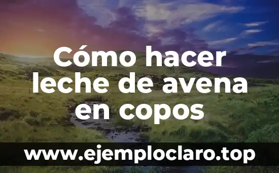 Cómo hacer leche de avena en copos