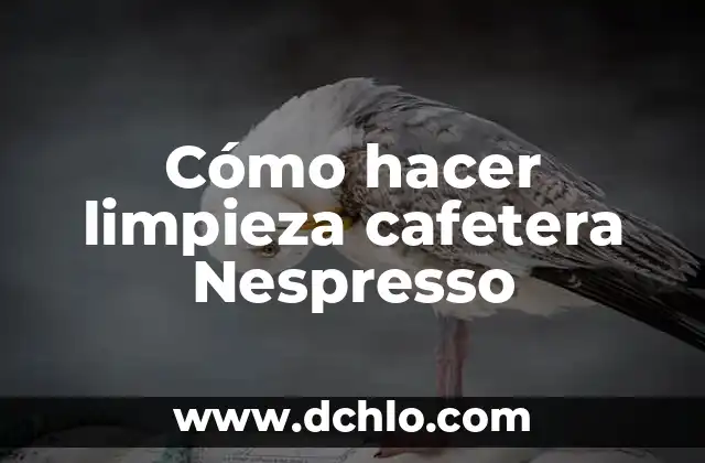 Cómo hacer limpieza final de obra 4 Cómo hacer limpieza cafetera Nespresso