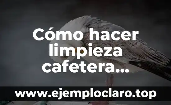 Cómo hacer limpieza cafetera Nespresso