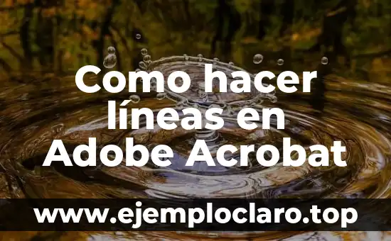 El Significado Emocional de Dibujar Líneas 5 Como hacer líneas en Adobe Acrobat