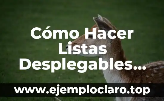 Cómo Hacer Listas Desplegables en Excel: Guía Completa