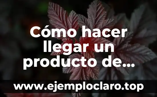 Cómo hacer llegar un producto de venta online