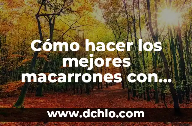 Cómo hacer macarrones al horno 6 Cómo hacer los mejores macarrones con queso