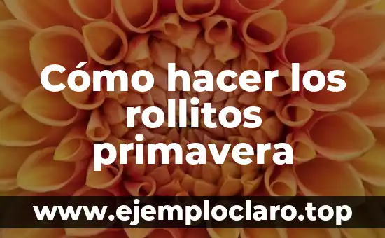 Cómo hacer los rollitos primavera