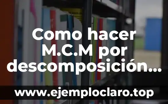 Descomposición de un Material: Un Proceso Natural 6 Como hacer M.C.M por descomposición 120 90