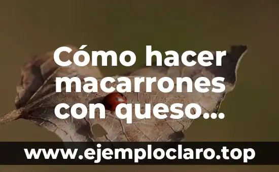 Cómo hacer macarrones con queso Kraft