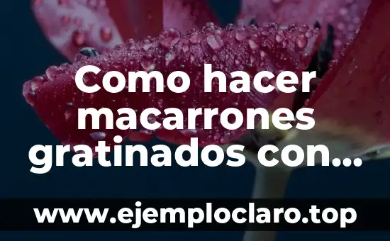 Como hacer macarrones gratinados con bechamel