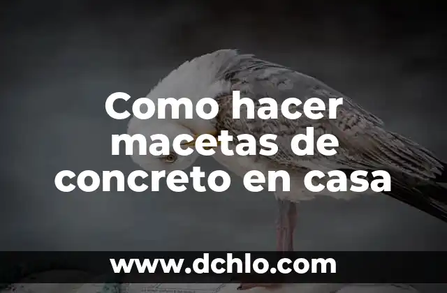 Cómo hacer que no se te trabe el Minecraft 4 Como hacer macetas de concreto en casa