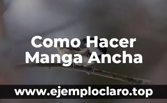 Como Hacer Manga Ancha
