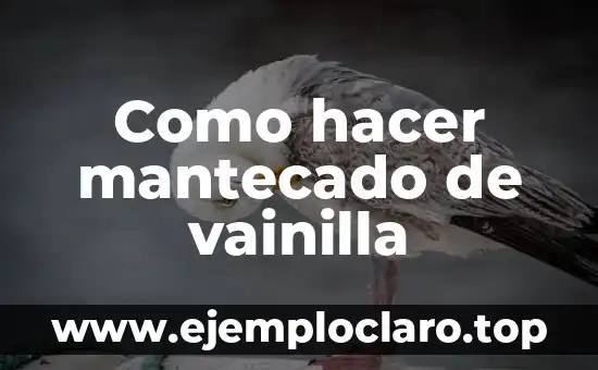Como hacer mantecado de vainilla