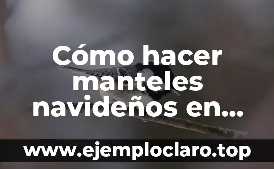 Cómo hacer caramelo líquido para guardar en frasco 6 Cómo hacer manteles navideños en bordado líquido