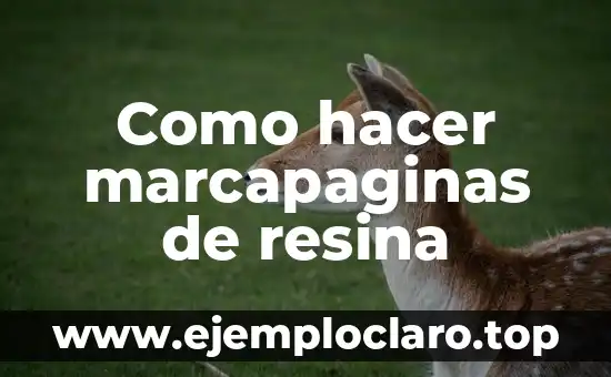 Como hacer marcapaginas de resina