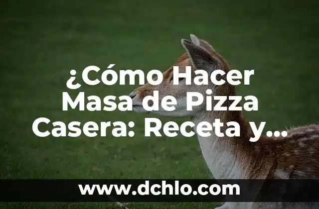 Cómo se Hace una Ensaladilla Rusa Auténtica y Deliciosa 3 ¿Cómo Hacer Masa de Pizza Casera: Receta y Técnicas para una Pizza Auténtica?