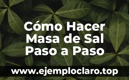 Cómo hacer cloro con agua y sal 3 Cómo Hacer Masa de Sal Paso a Paso